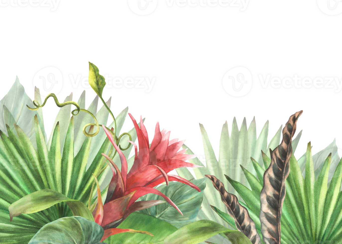 Tropical leaves and flowers banner, bromeliad, palm leaf, calathea, exotic creeper, home plant card template Jungle greenery floral clipart. Watercolor painted illustration background. png
