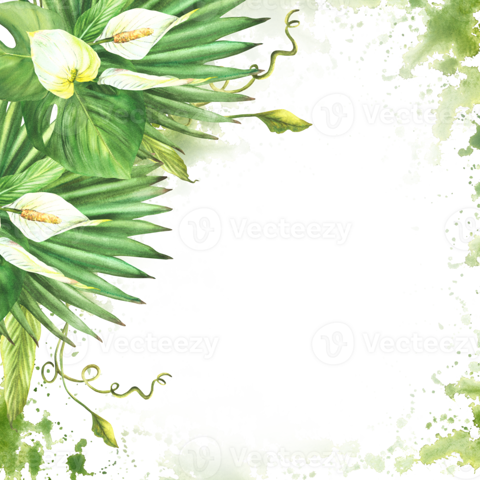 bukett av tropisk löv, vit blommor, handflatan blad ram på vattenfärg stänk fläckar bakgrund. Hem växt. exotisk knopp, grönska ClipArt knippa för hälsning kort. hand dragen illustration png