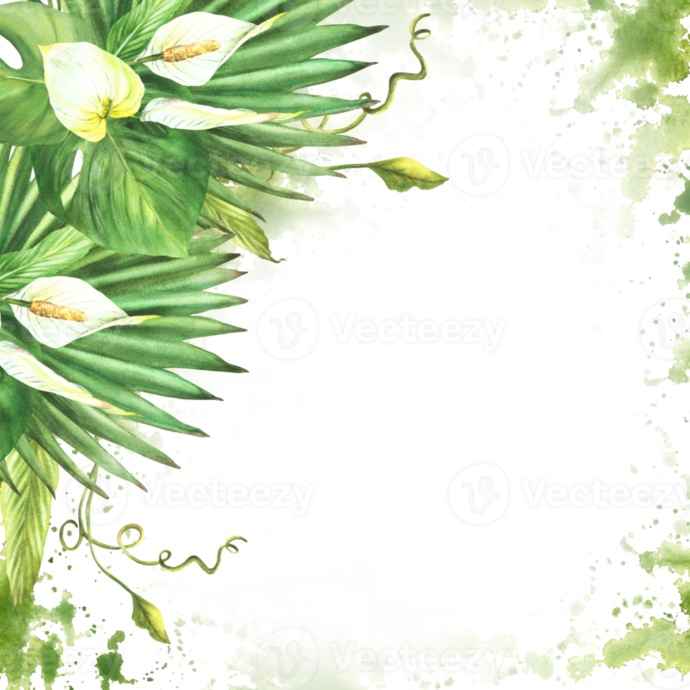 Bouquet of tropical leaves, white flowers, palm leaf frame on watercolor splashes stains background. Home plant. Exotic bud, greenery clipart bunch for greeting card. Hand drawn illustration png