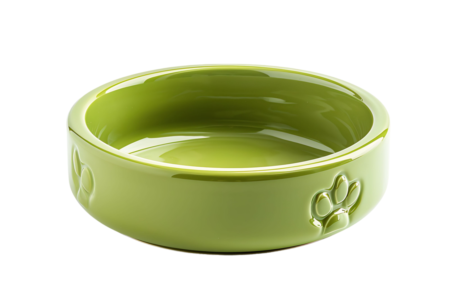 Pet food bowl on transparent background png