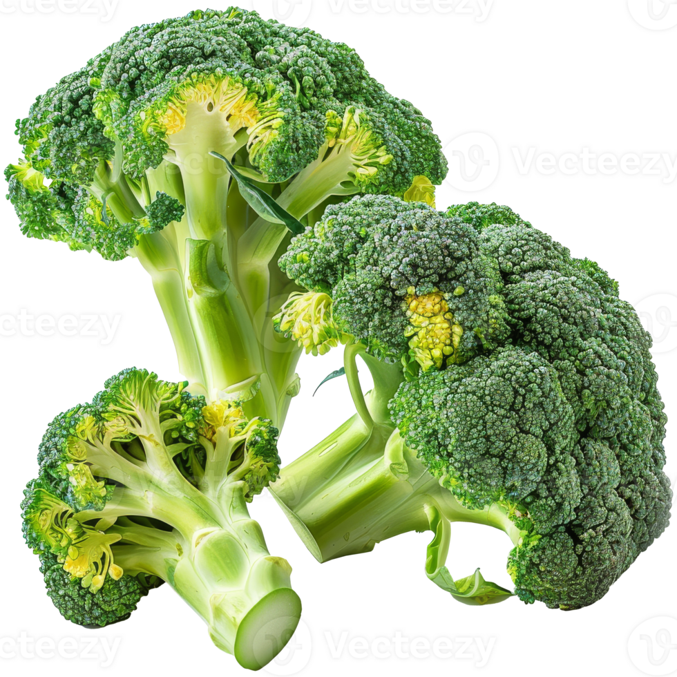 Realistic whole and cut broccoli, transparent background png