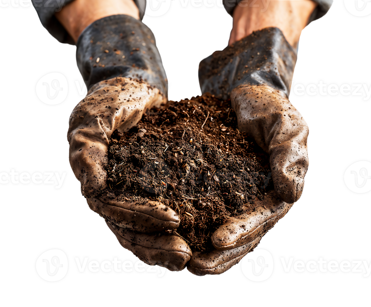 Farmers hands holding soil mixed with homemade compost isolated png