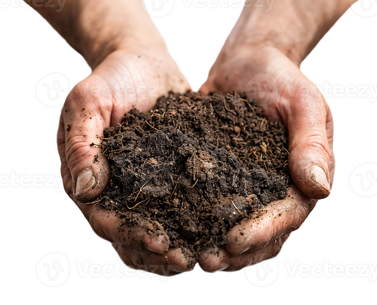Farmers hands holding soil mixed with homemade compost isolated png