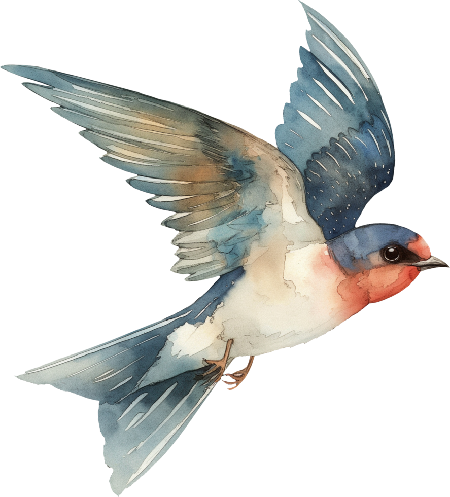 Cute Swallow Chasing Dawn watercolor png