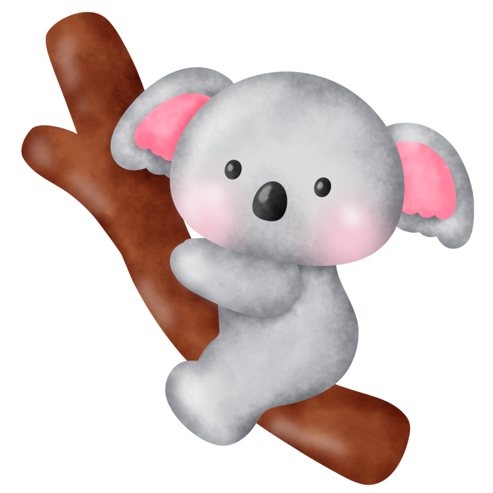 Koala Climbing on a Gum Tree png