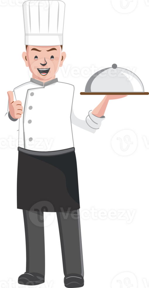 professionnel chef personnages, illustration dessin animé personnage. png