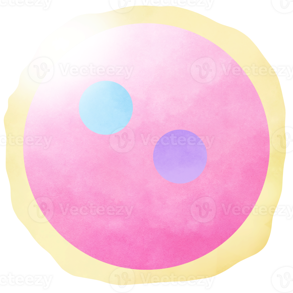 Stages Human Embryonic Development and Zygote png