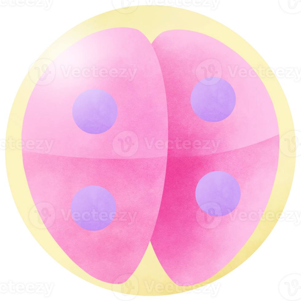 Stages Human Embryonic Development and 4 cell png