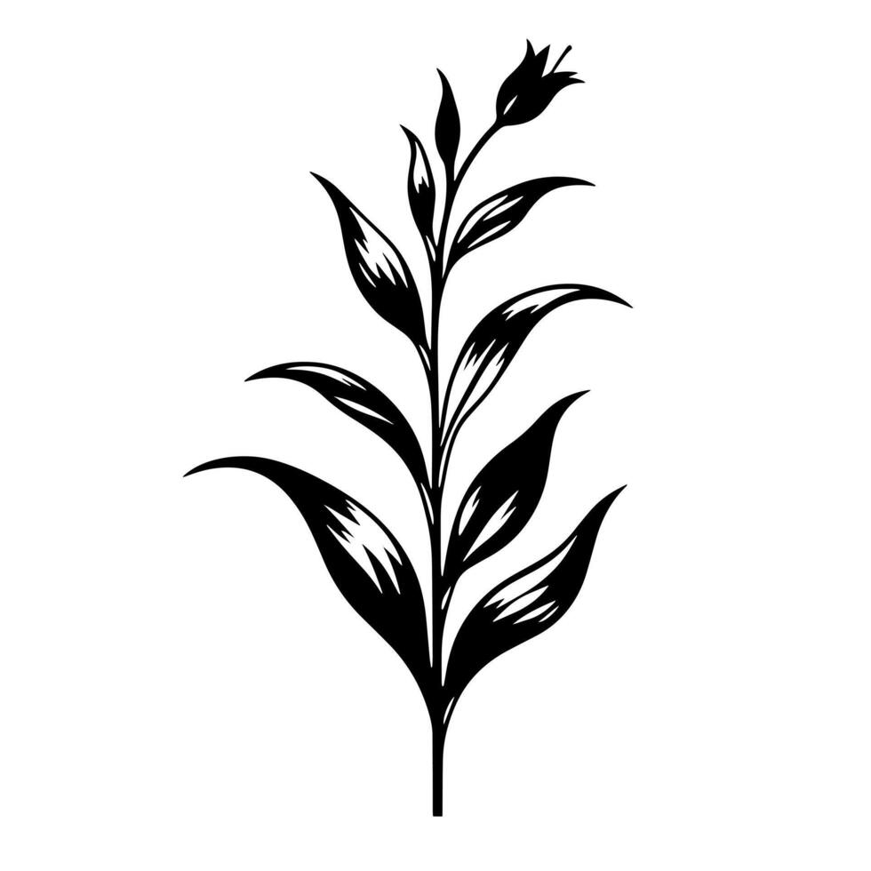 Black and white Silhouette of a abstract plant as a symbol for nature vector