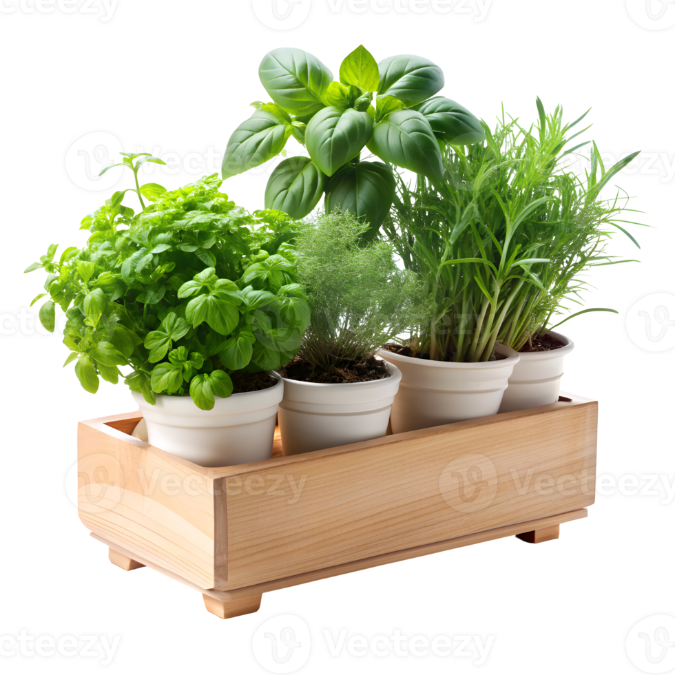 Rustic Herb Planter Arrangement on a Transparent Background png