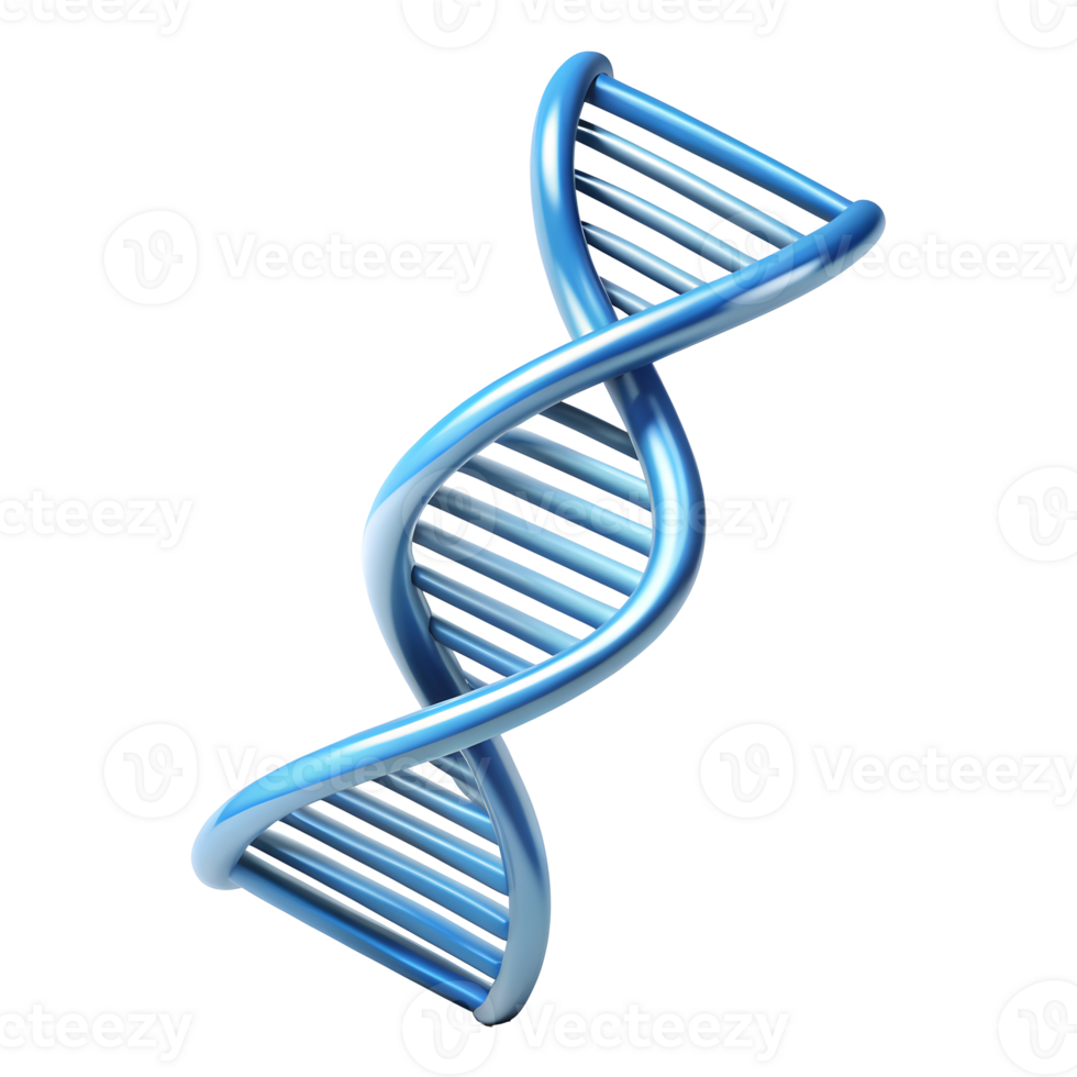 genetisch DNA Strand Symbol auf transparent Hintergrund png