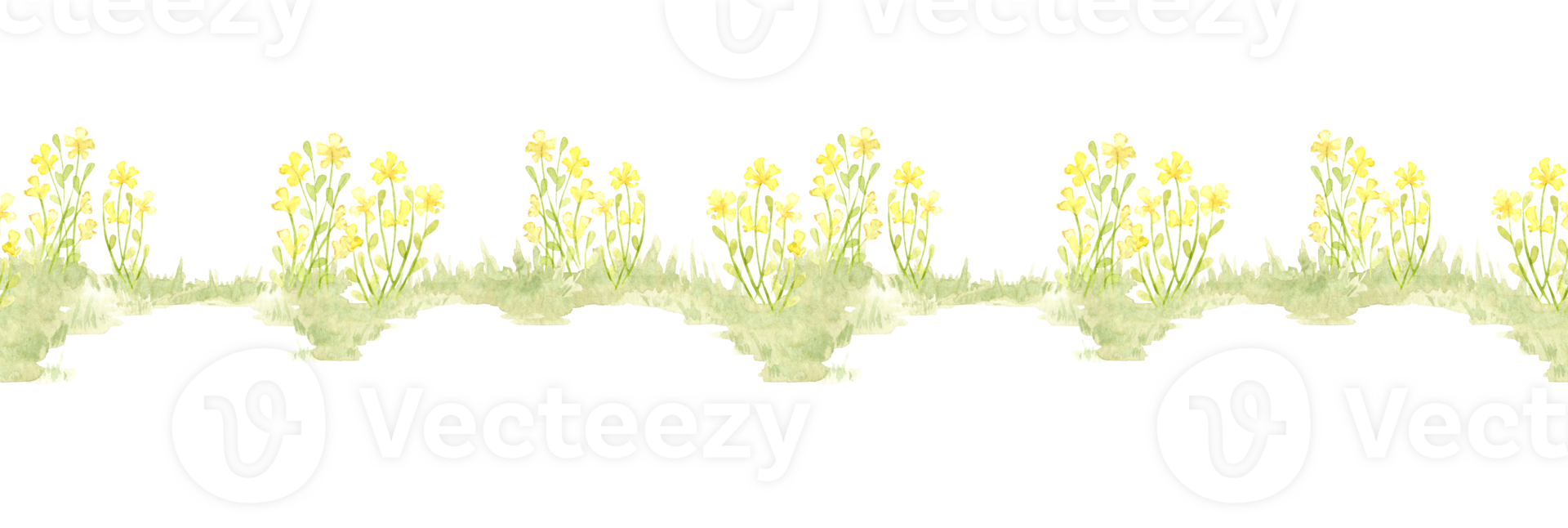 Clearing with yellow flowers pattern horizontal element of watercolor illustration of natural landscape. Forest wildlife scene with herbs, flowers, vegetation. To compose compositions on the theme png