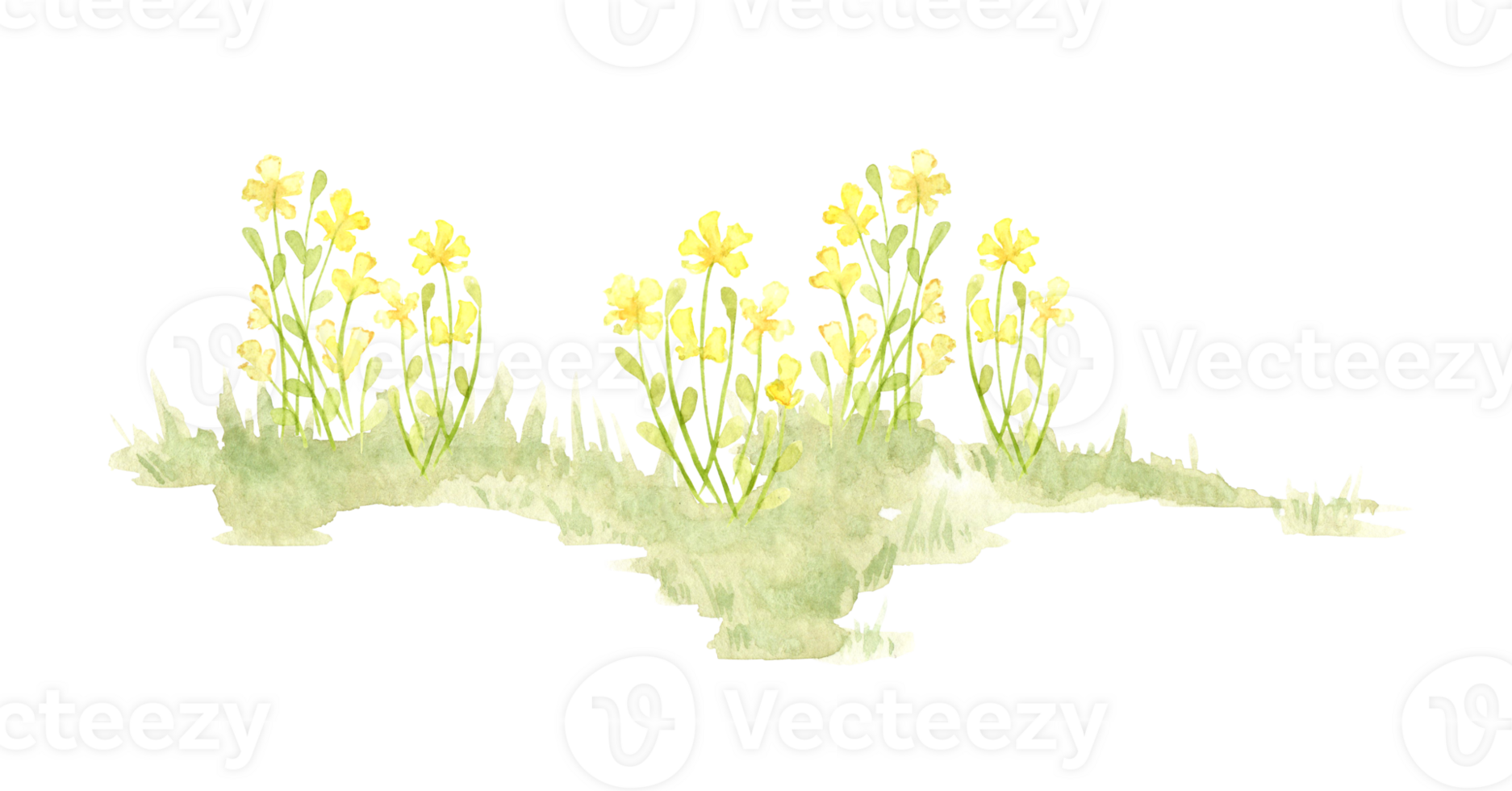 Yellow flowers in a clearing watercolor illustration of a natural landscape. Forest wildlife scene with herbs, flowers, vegetation. Compose compositions on a theme. png