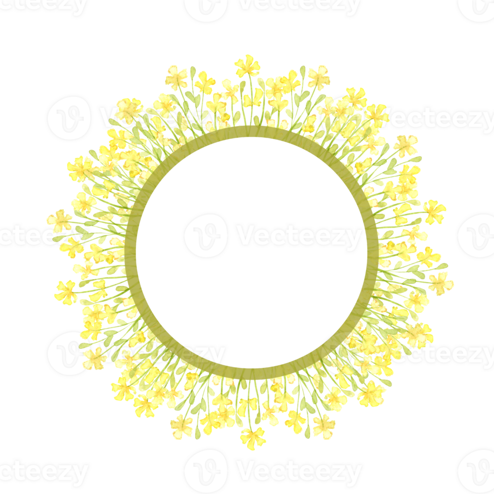 Yellow flowers small field frame wreath watercolor illustration. Summer meadow with floral print and wildflowers. Isolated from the background. For designing cards, invitations, wedding decor, png