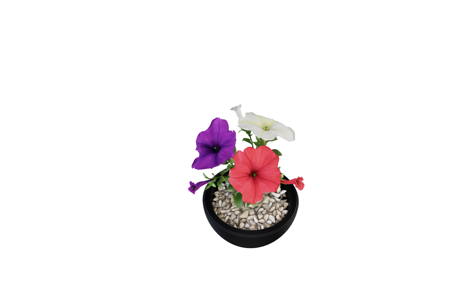 a vase with flowers on a transparent background png