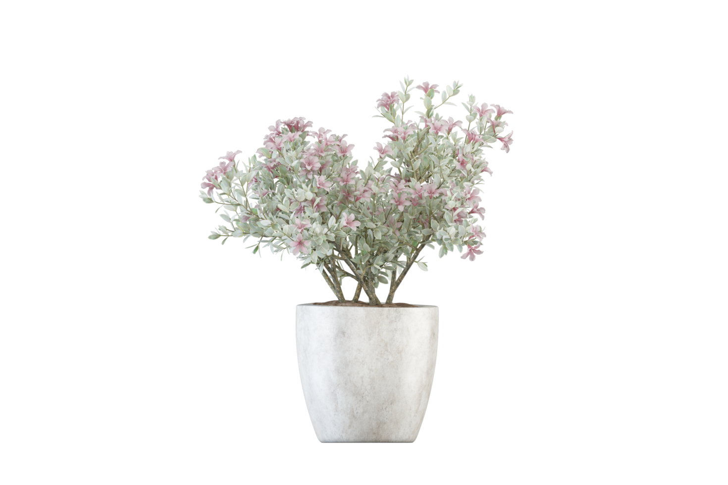 a vase with flowers on a transparent background png