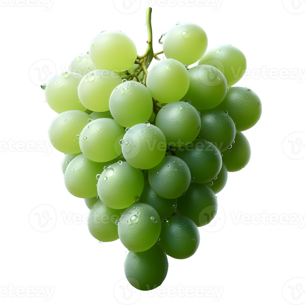 Fresh grapes bunch on transparent background png