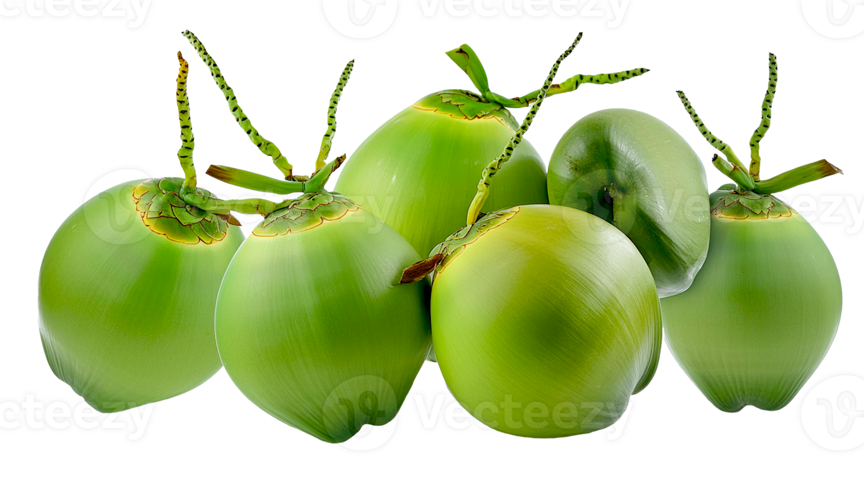 fresh Tropical coconut fruit on transparent background png