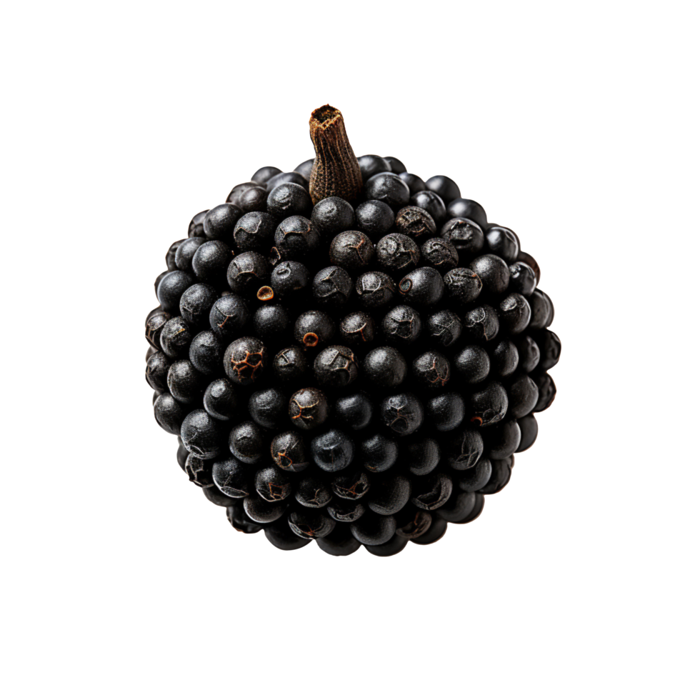 A single black pepper isolated on transparent background png