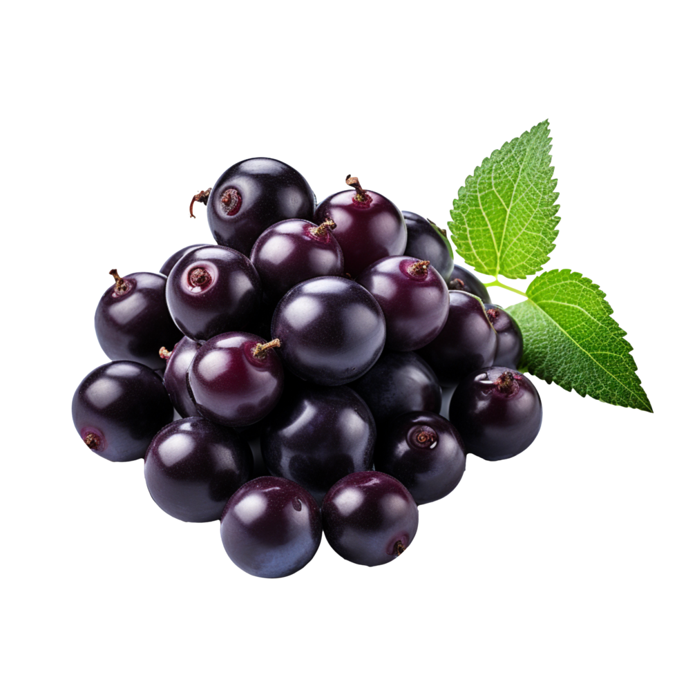 Acai berry isolated on transparent background png