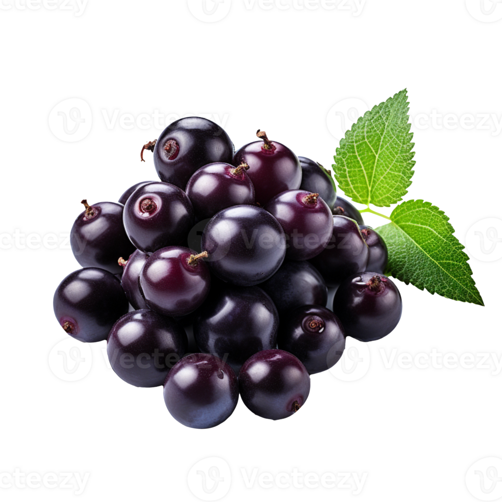 Acai berry isolated on transparent background png