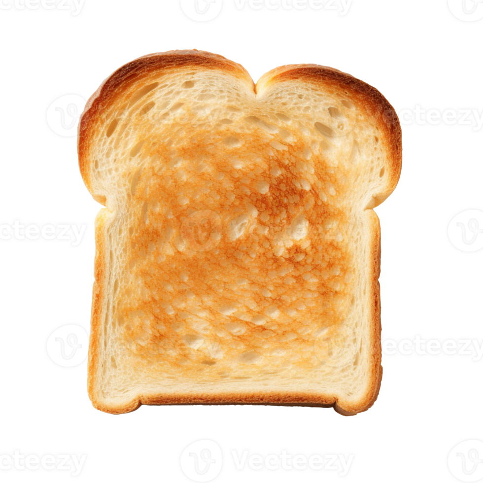 A single toasted slice of bread isolated on transparent background png