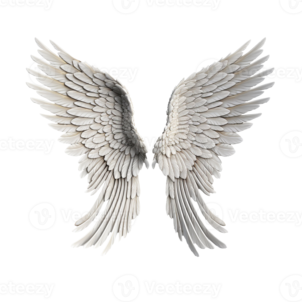 angel wings isolated on transparent background png