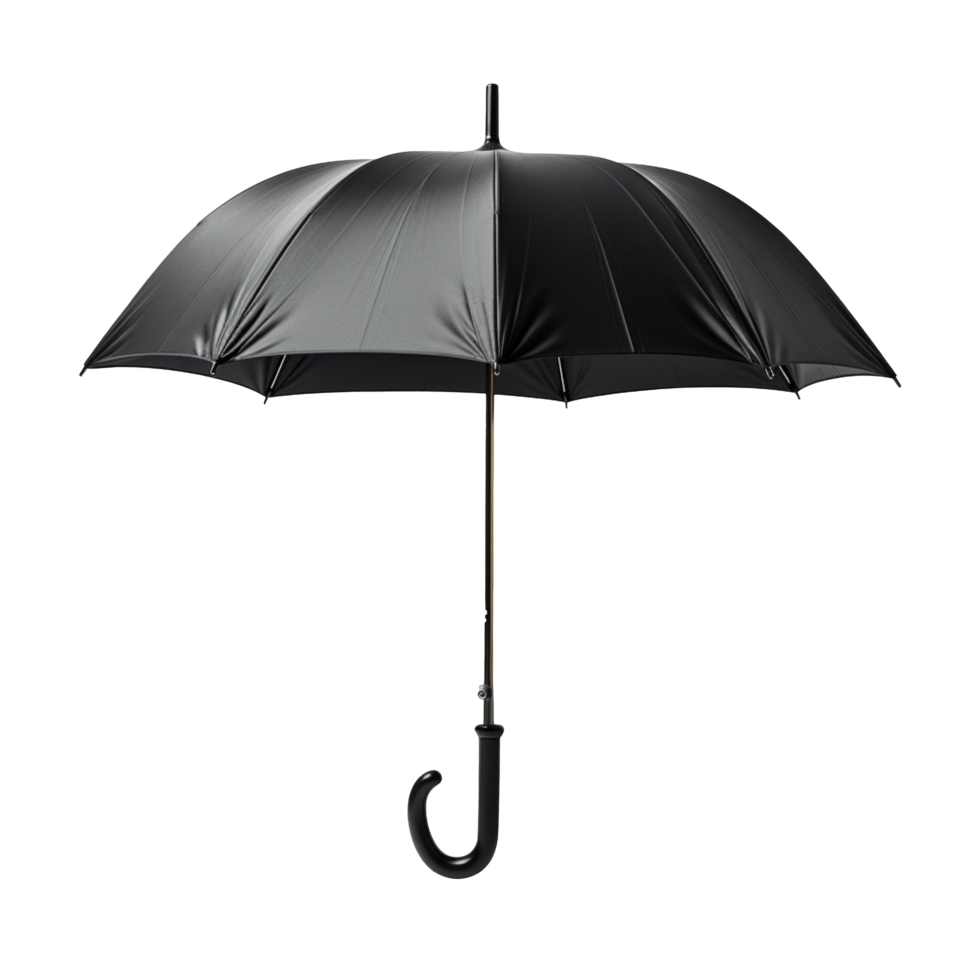 negro lluvia paraguas aislado en transparente antecedentes png