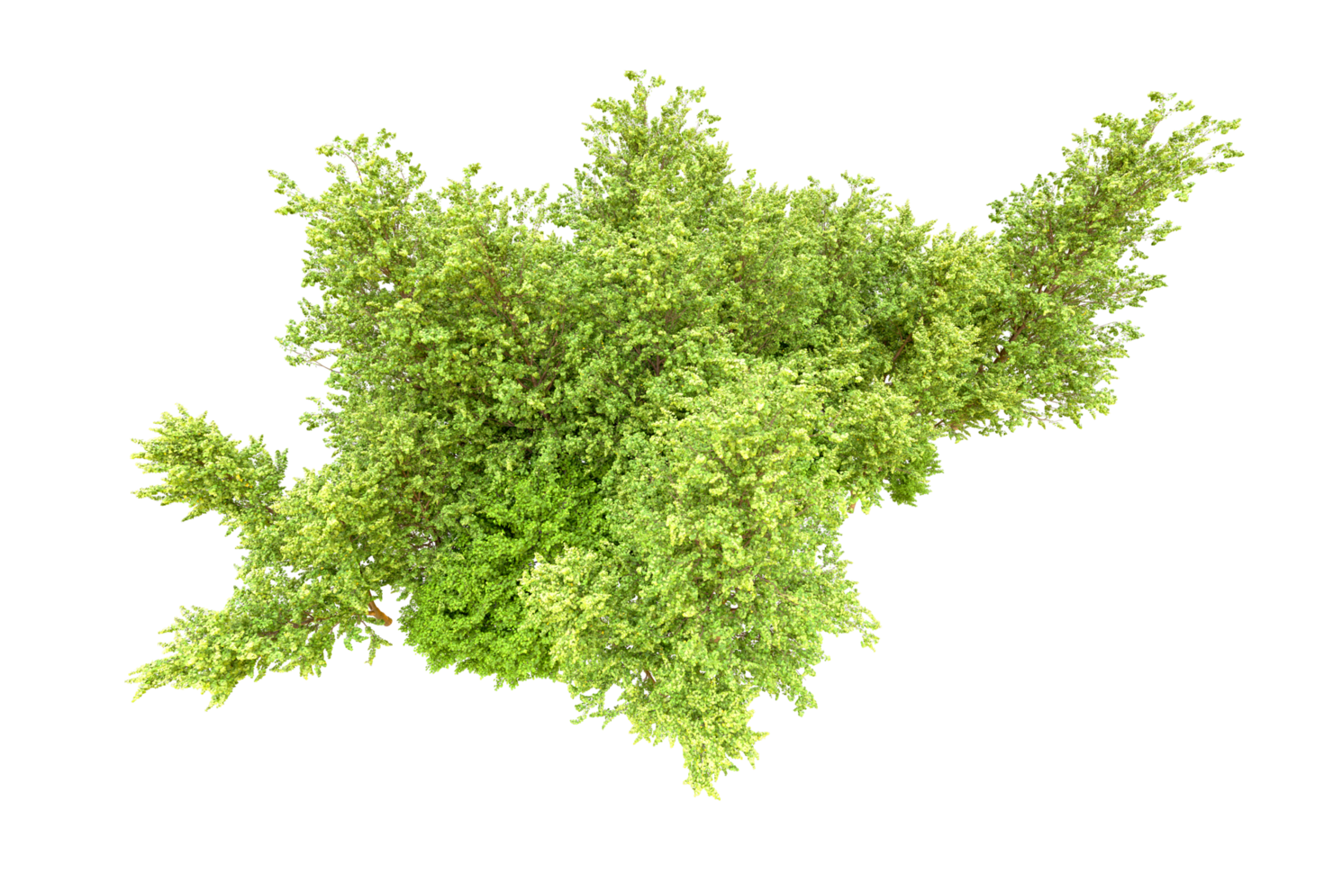 Green forest isolated on background. 3d rendering - illustration png