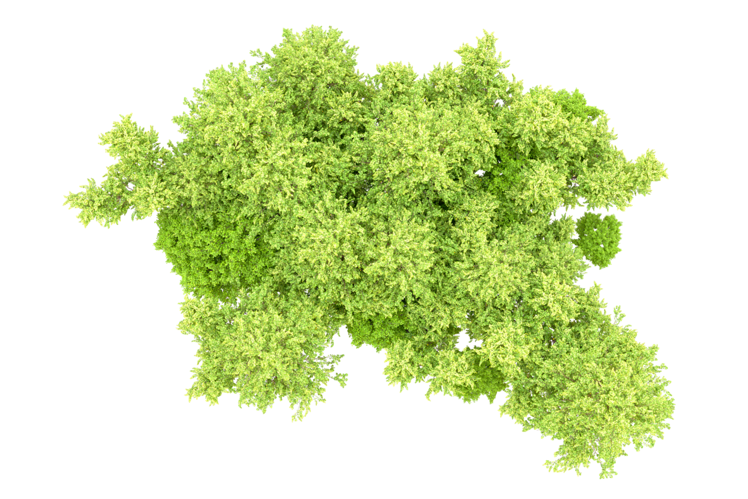 Green forest isolated on background. 3d rendering - illustration png
