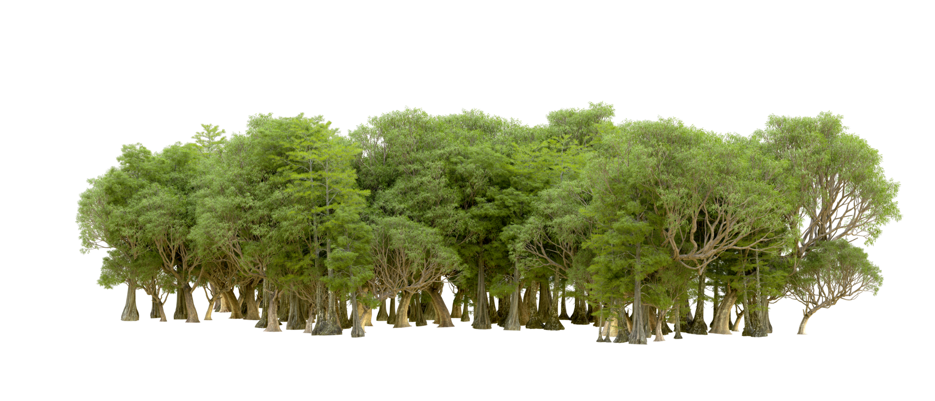 Green forest isolated on background. 3d rendering - illustration png