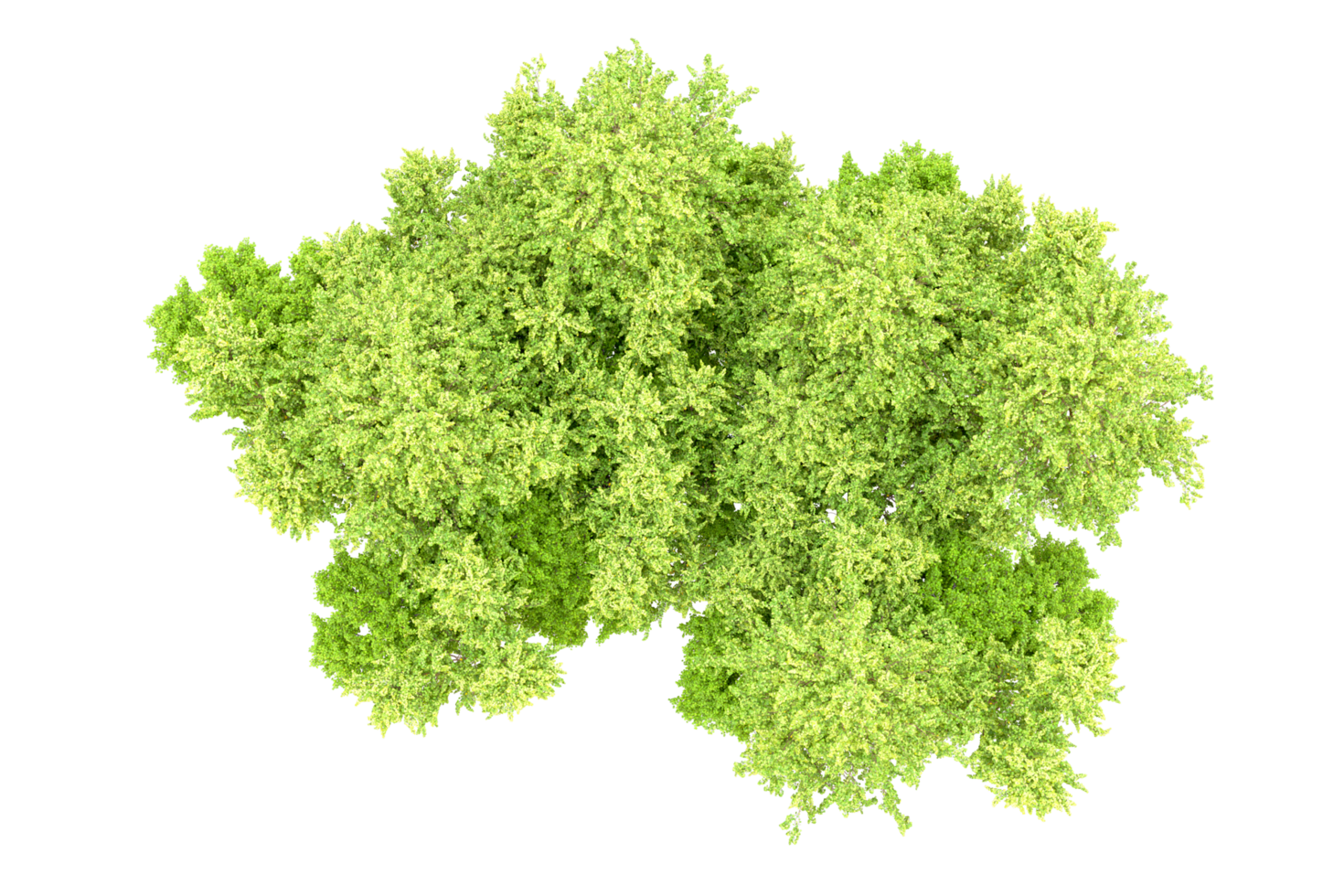 Green forest isolated on background. 3d rendering - illustration png