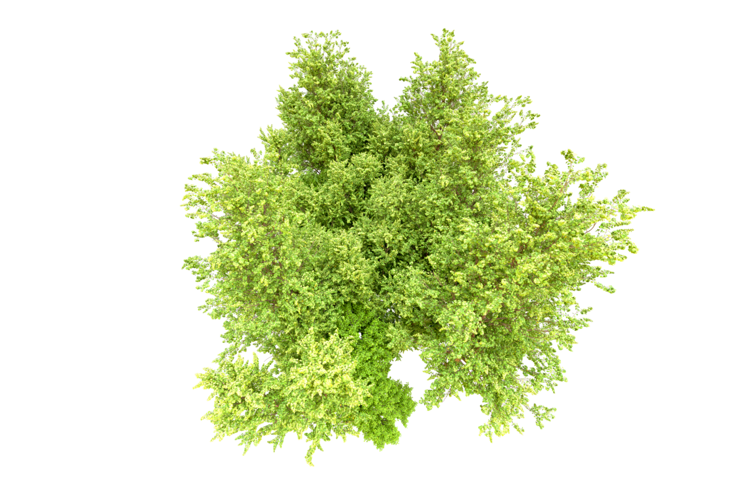 Green forest isolated on background. 3d rendering - illustration png