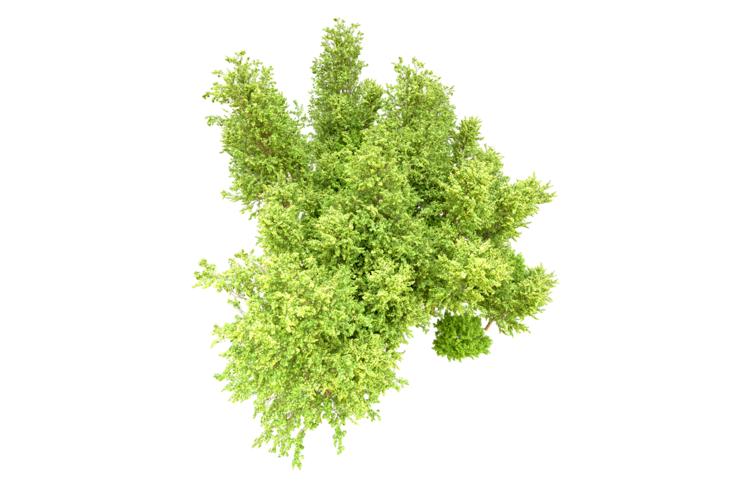 Green forest isolated on background. 3d rendering - illustration png