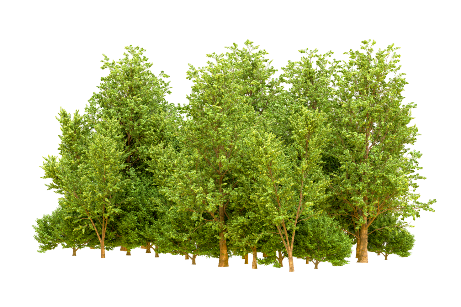 Green forest isolated on background. 3d rendering - illustration png