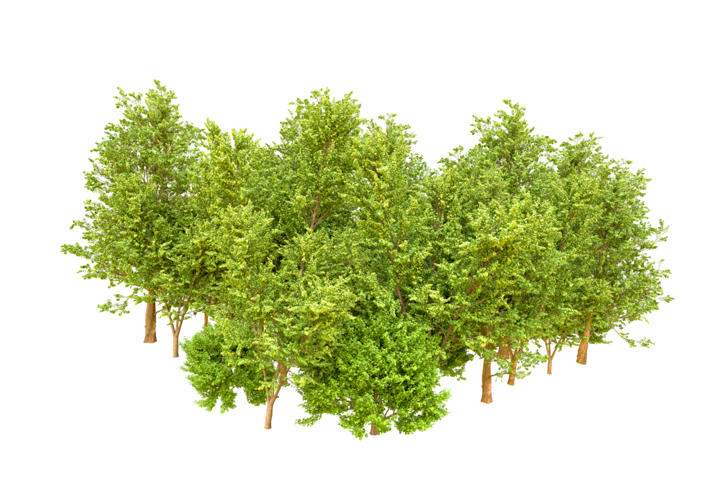 Green forest isolated on background. 3d rendering - illustration png