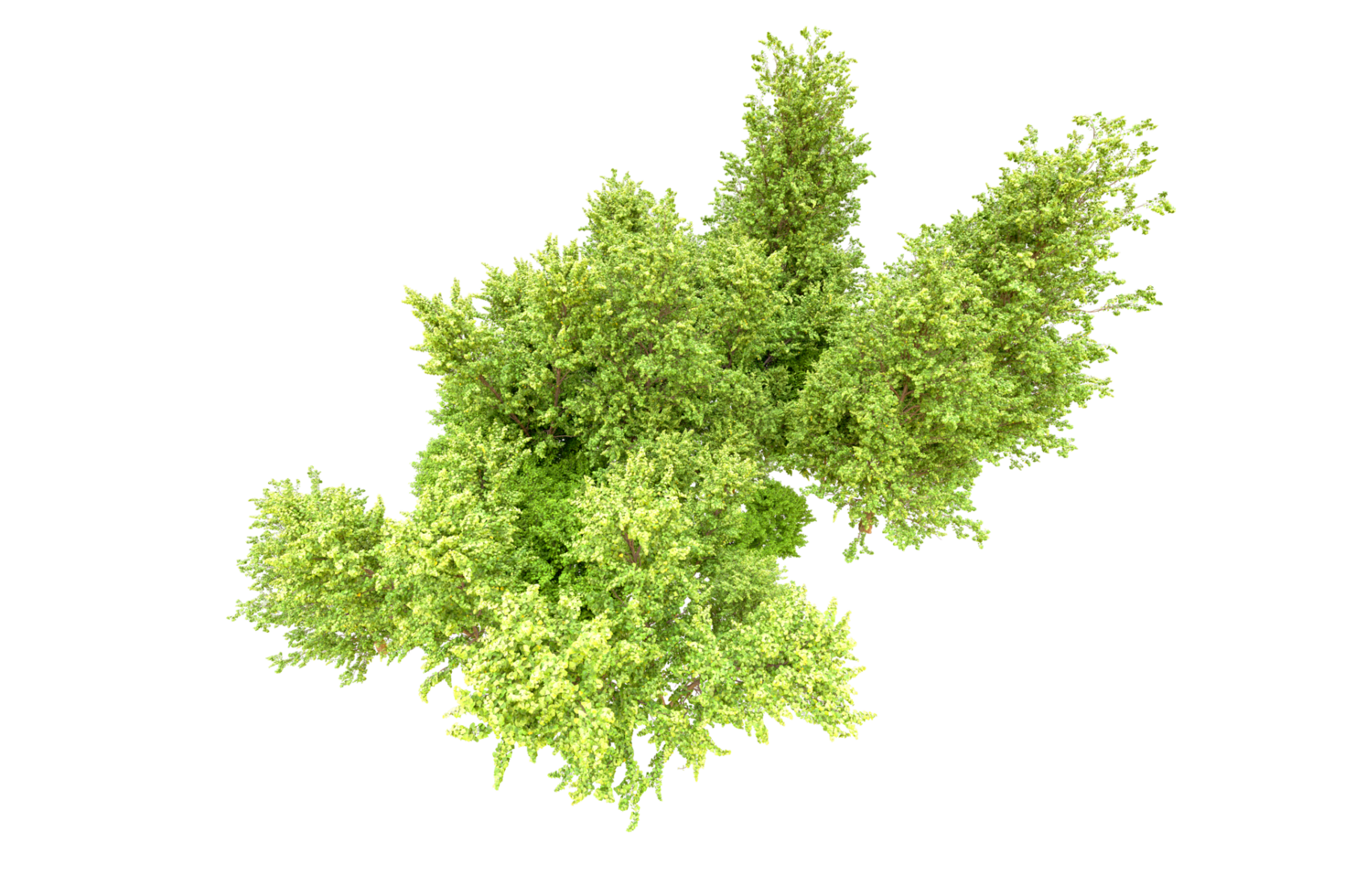 Green forest isolated on background. 3d rendering - illustration png