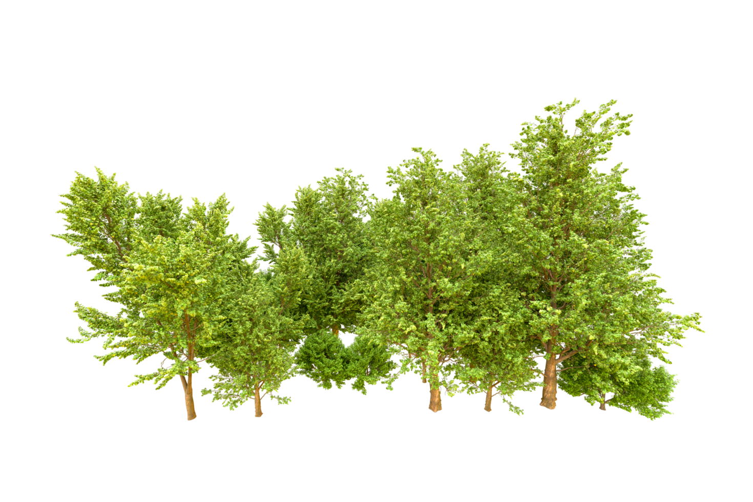 Green forest isolated on background. 3d rendering - illustration png