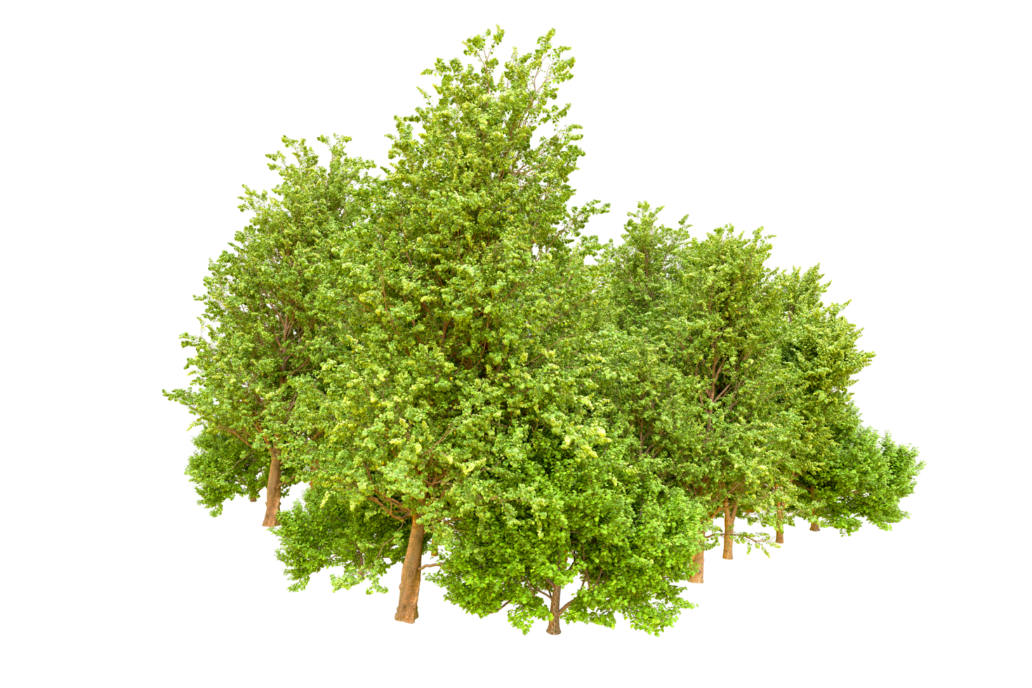 Green forest isolated on background. 3d rendering - illustration png