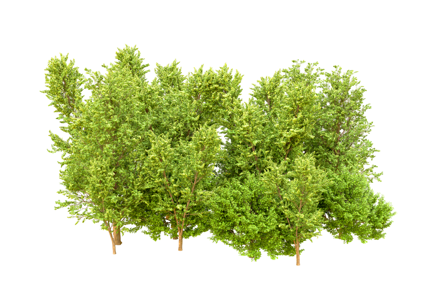 Green forest isolated on background. 3d rendering - illustration png