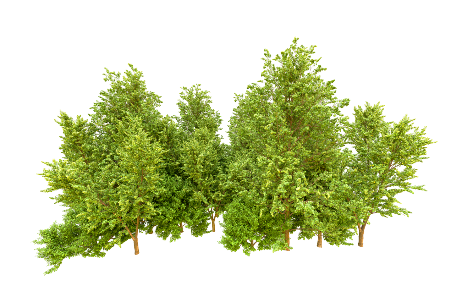 Green forest isolated on background. 3d rendering - illustration png