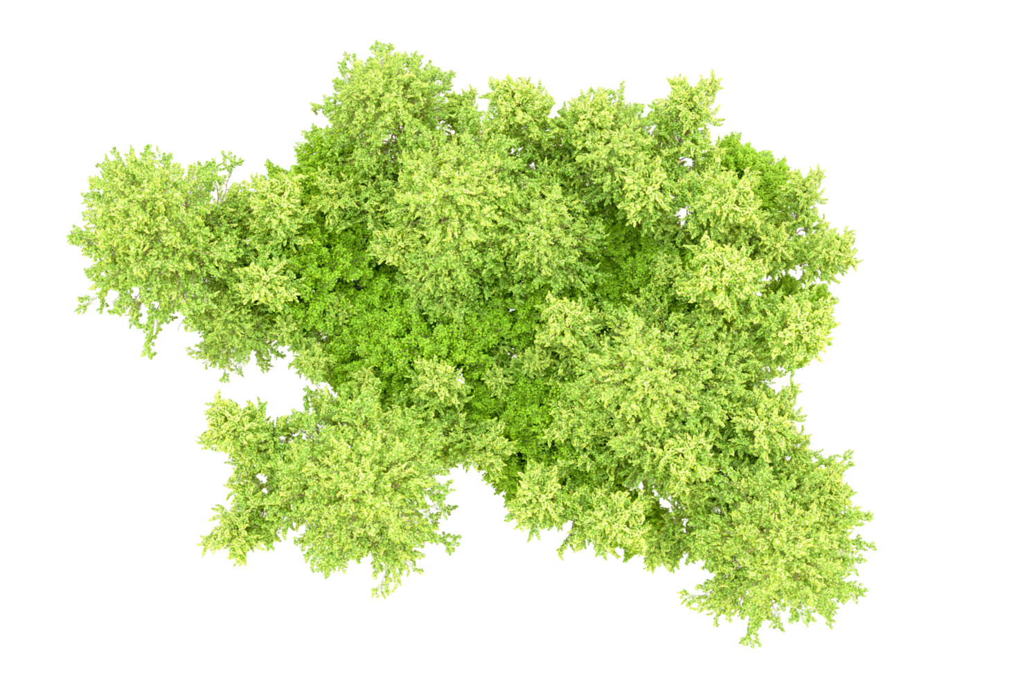 Green forest isolated on background. 3d rendering - illustration png