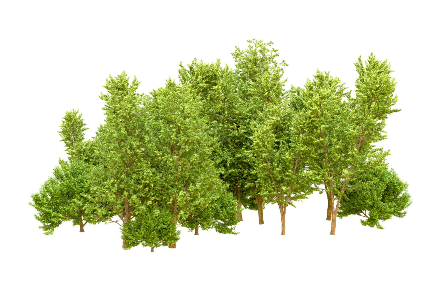 Green forest isolated on background. 3d rendering - illustration png
