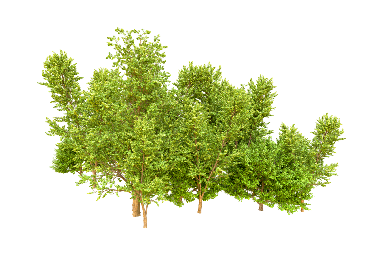 Green forest isolated on background. 3d rendering - illustration png