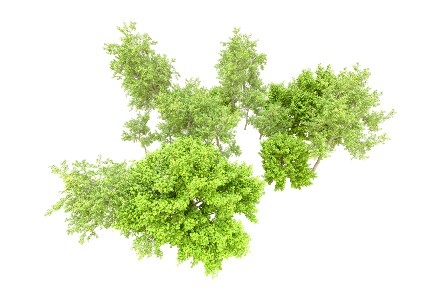 Green forest isolated on background. 3d rendering - illustration png