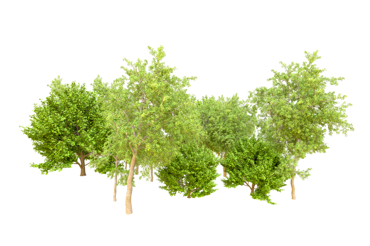 Green forest isolated on background. 3d rendering - illustration png