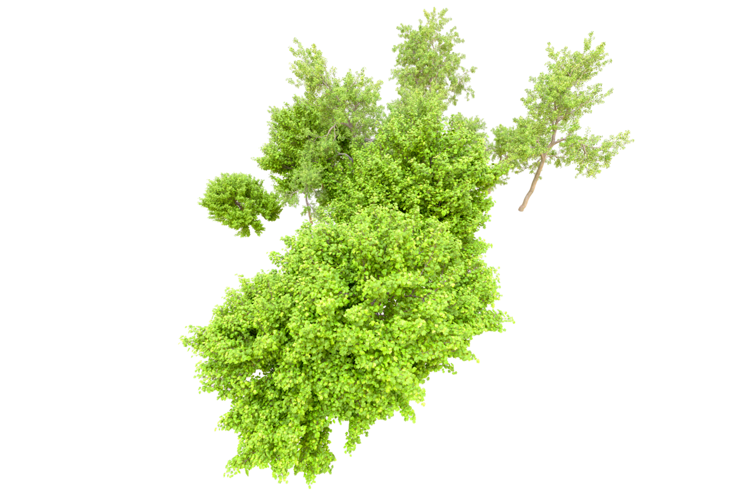 Green forest isolated on background. 3d rendering - illustration png