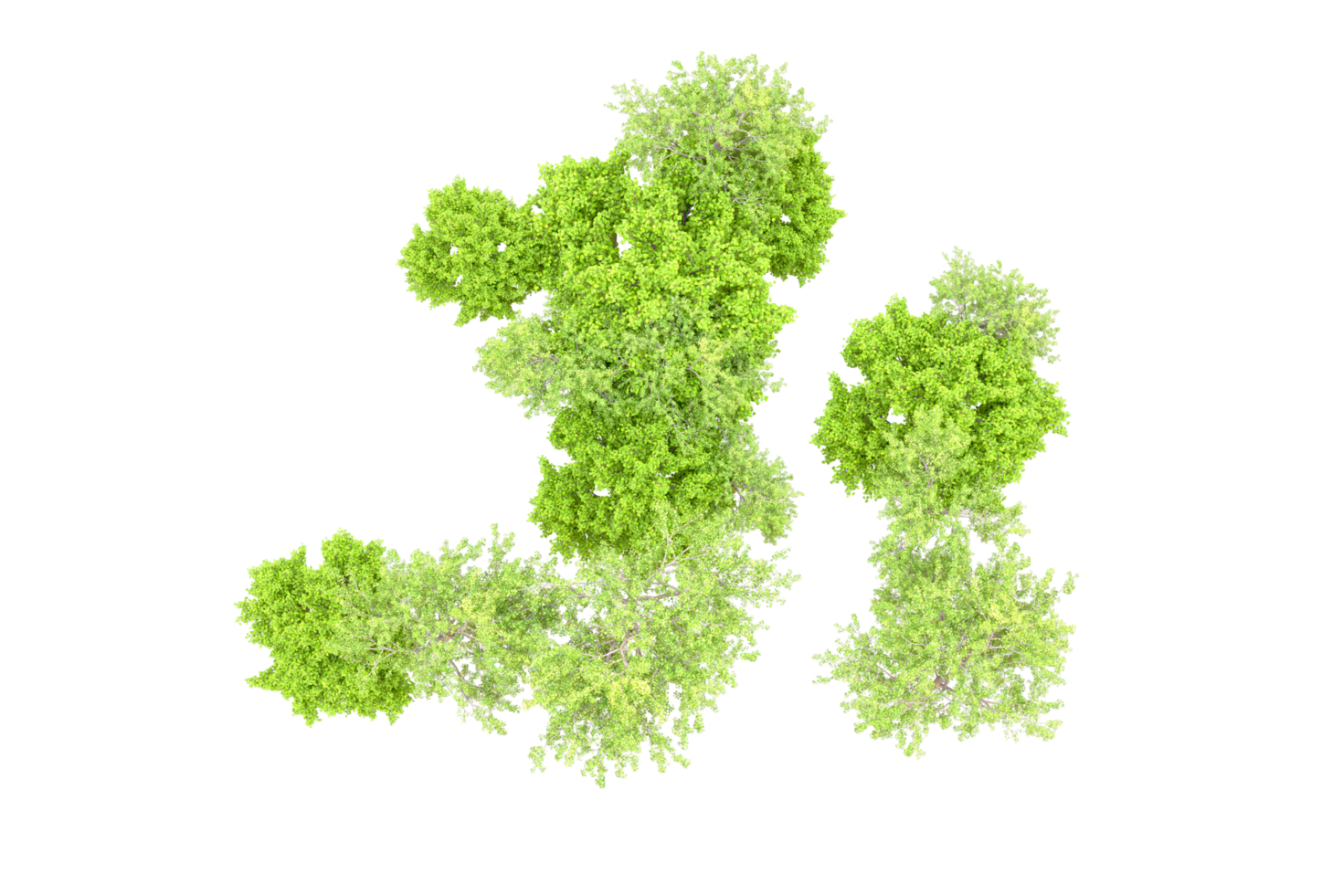 Green forest isolated on background. 3d rendering - illustration png
