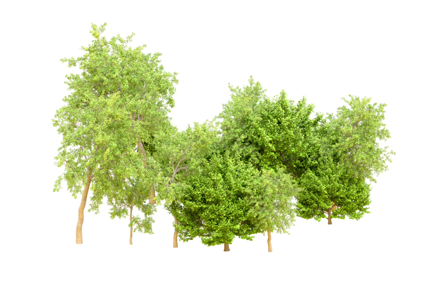 Green forest isolated on background. 3d rendering - illustration png