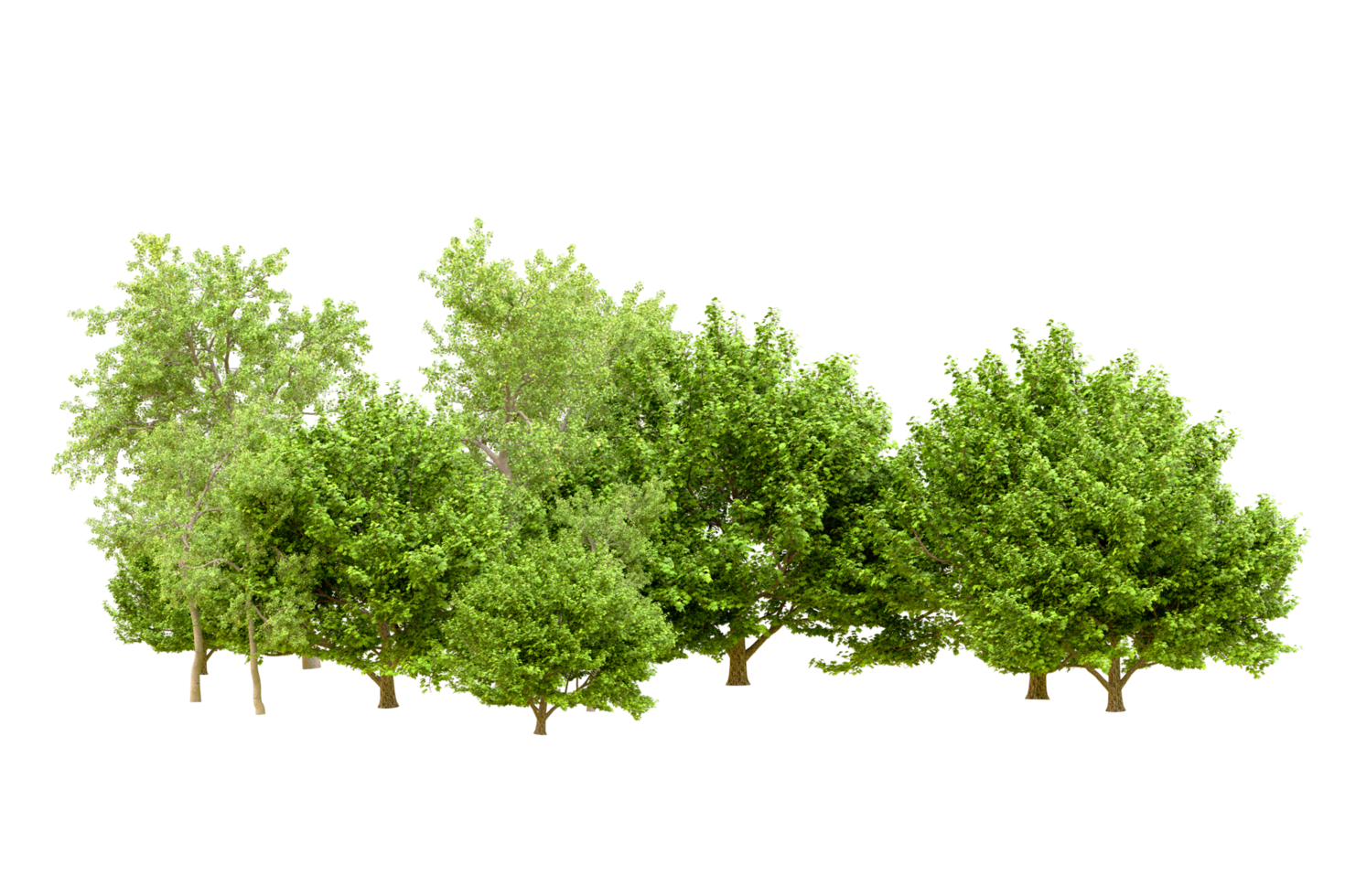 Green forest isolated on background. 3d rendering - illustration png